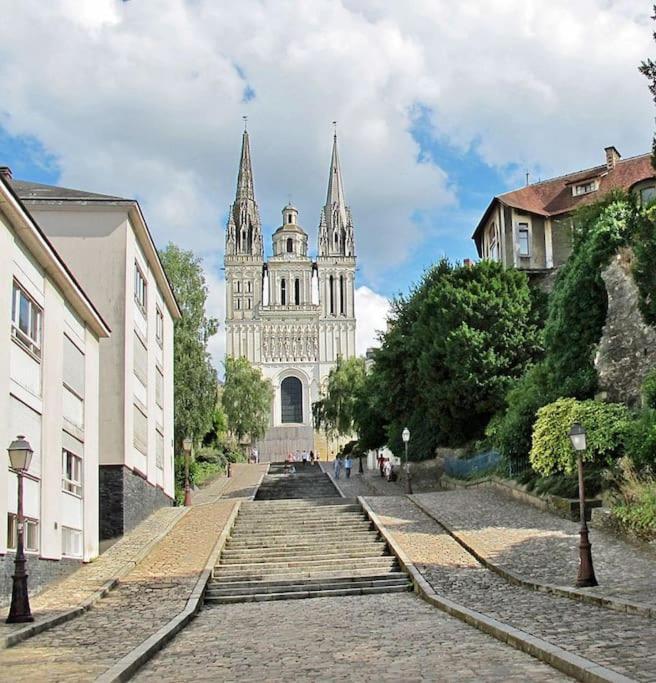 T1 Bis Cosy Et Spacieux - Wifi - Parking Gratuit Анже Экстерьер фото